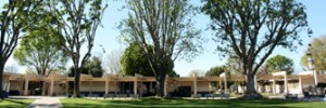 California - Trường Trung Học Công Lập  Birmingham Community Charter High School -  USA