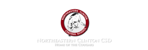 Trường Trung Học Công Lập Northeastern Clinton Central High School- New York, USA