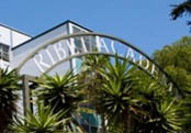 California - Trường Trung Học Ribet Academy - USA
